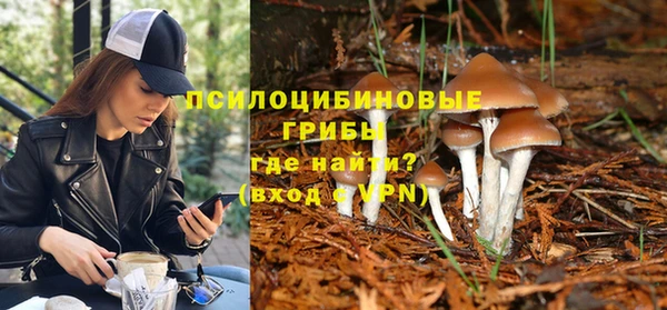 соль ск Алзамай