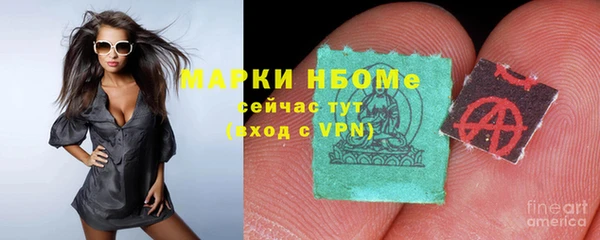 соль ск Алзамай
